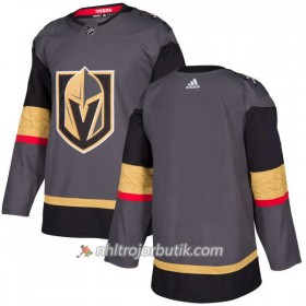 Män Ishockey Vegas Golden Knights Tröja Blank Adidas 2017-2018 Grå Authentic
